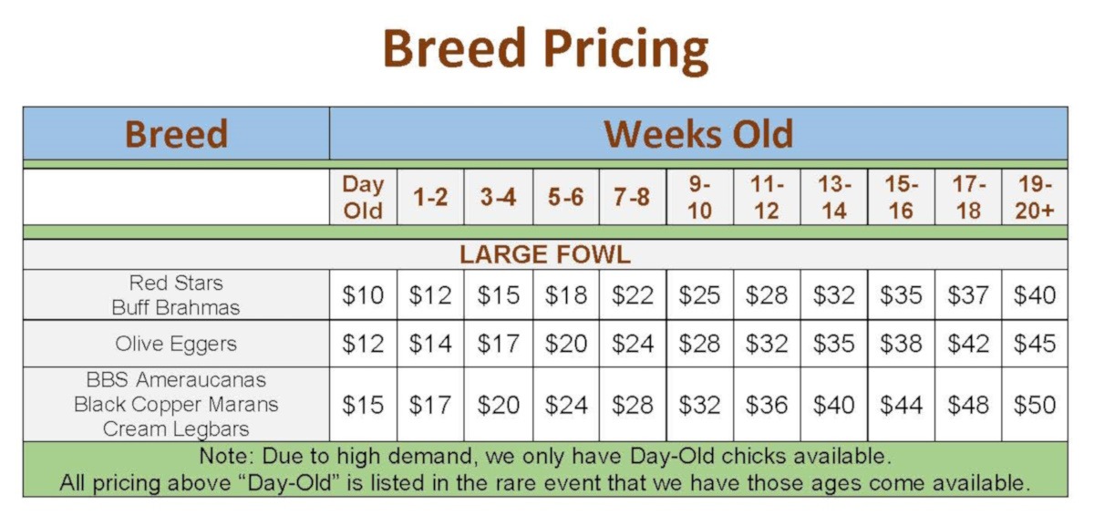 Breed Pricing Chart 2024