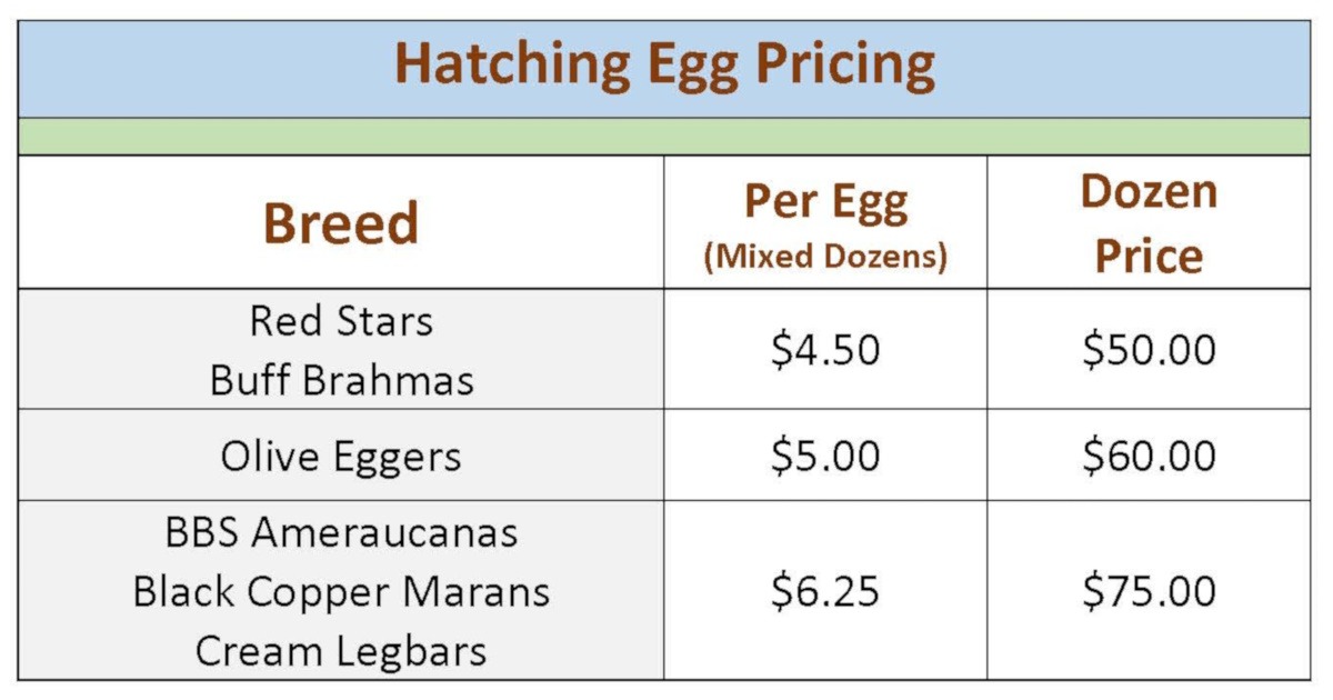 Hatching Egg Pricing 2024