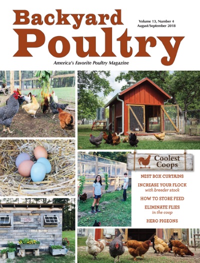 Happy Feet Hatchery Eustis in Poultry Magazine