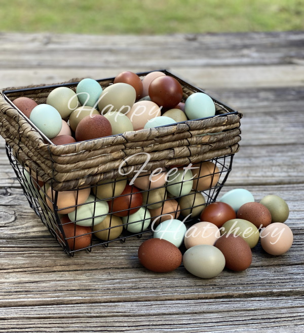 Colorful egg basket