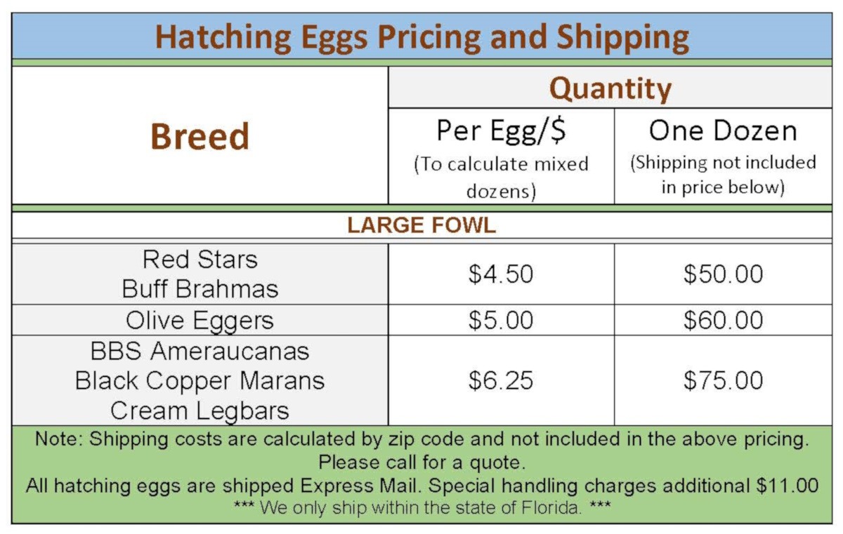 Hatching Eggs Pricing and Shipping 2024