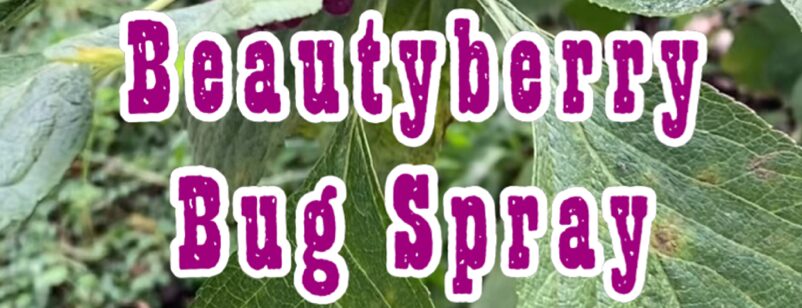 Beautyberry Bug Spray