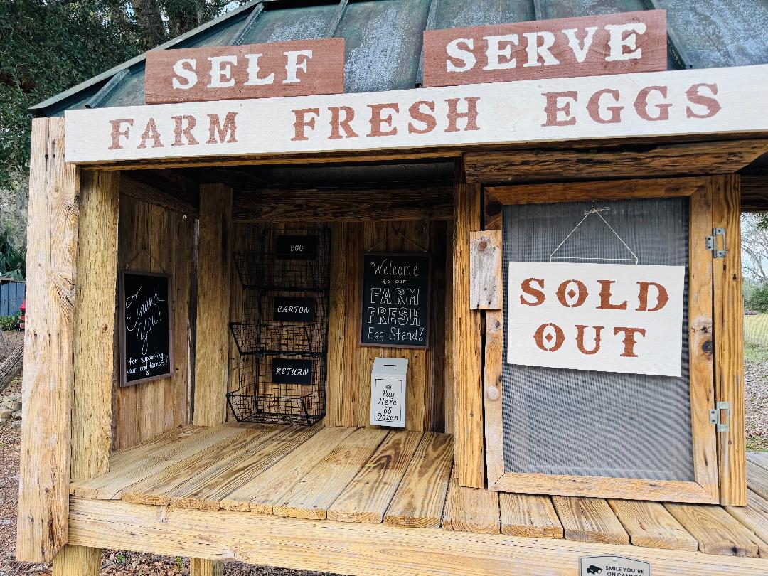 Farm Fresh Egg Stand