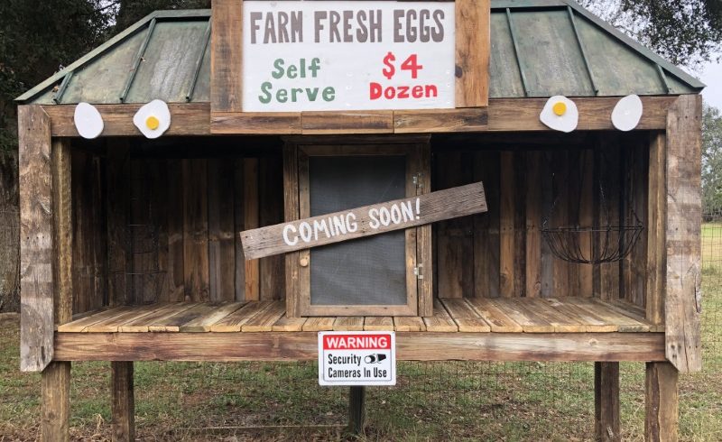 Farm Fresh Egg Stand