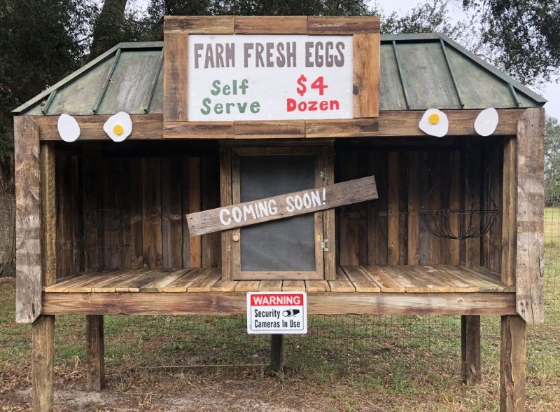 Farm Fresh Egg Stand