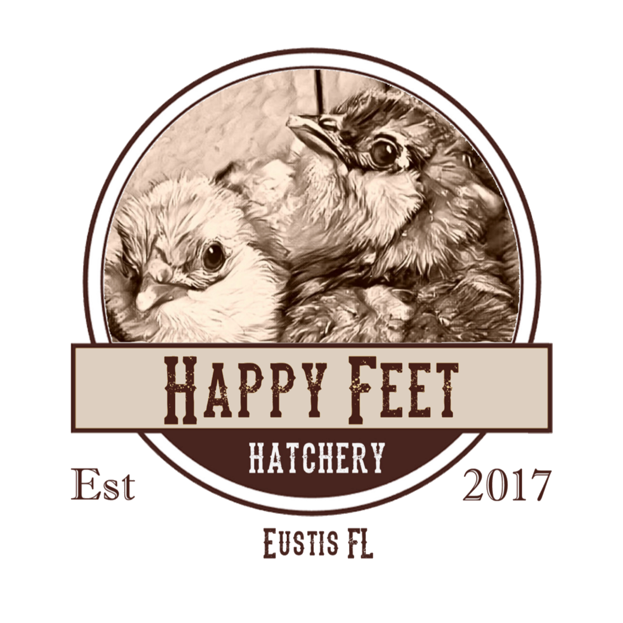 Happy Feet Hatchery