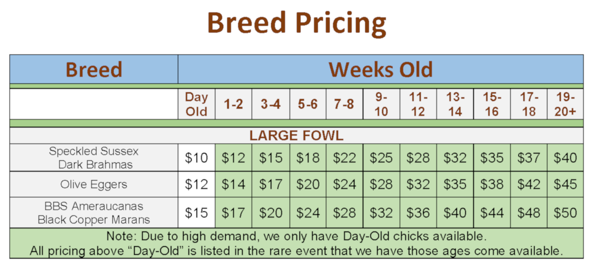 Breed Pricing Chart 2025