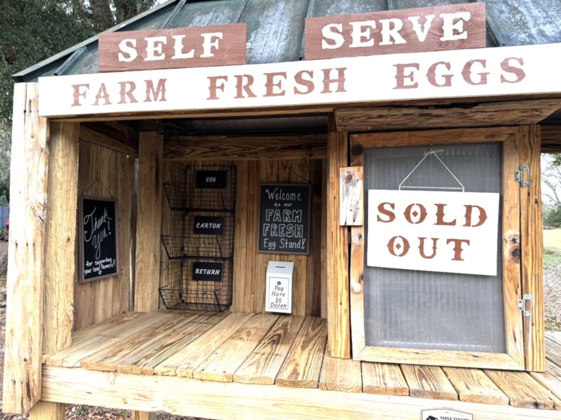 Farm Fresh Egg Stand