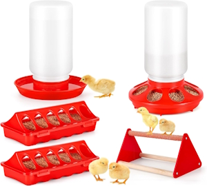 Chick feeder