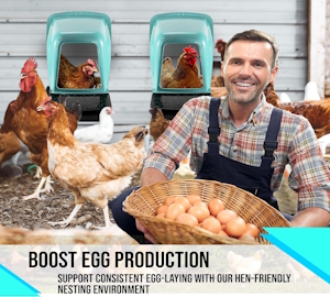 Chicken Nesting Boxes
