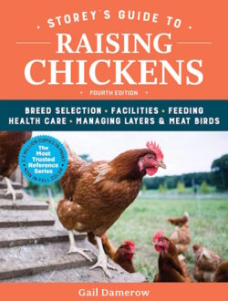 Storey Guide To Raising Chickens