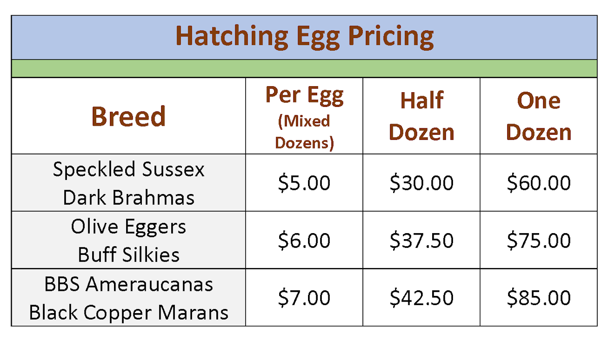 Hatching Egg Pricing 2026