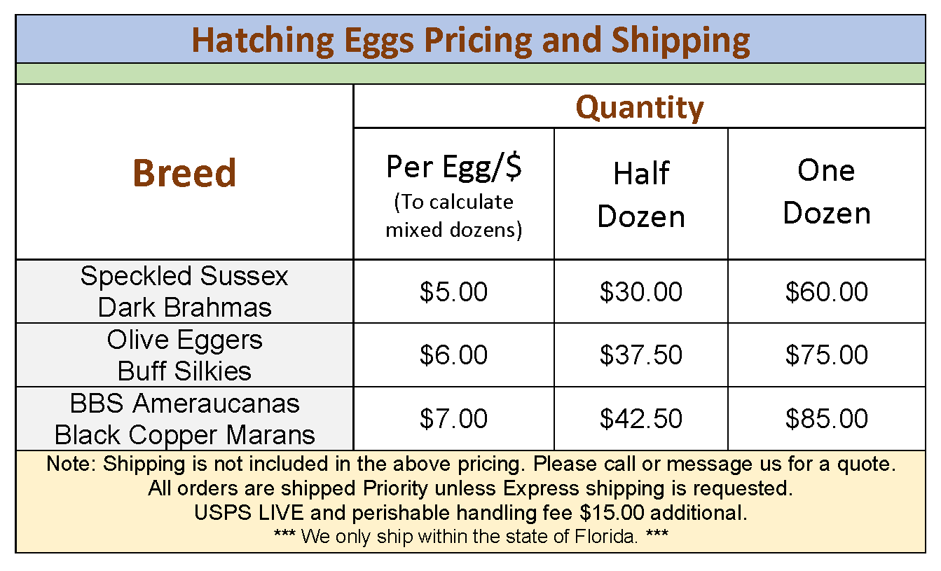 Hatching Eggs Pricing and Shipping 2026